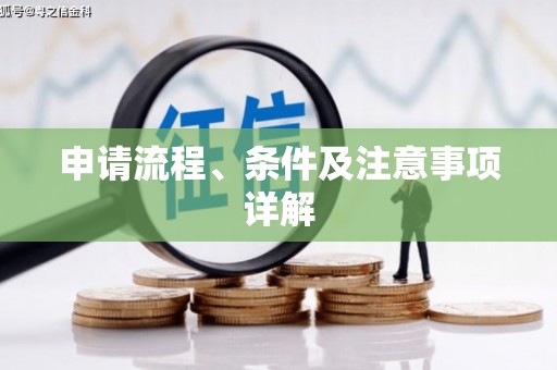 港口申请流程、条件及注意事项详解