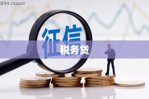 港口税务贷