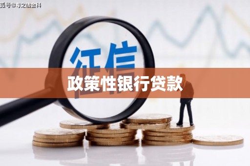 港口政策性银行贷款