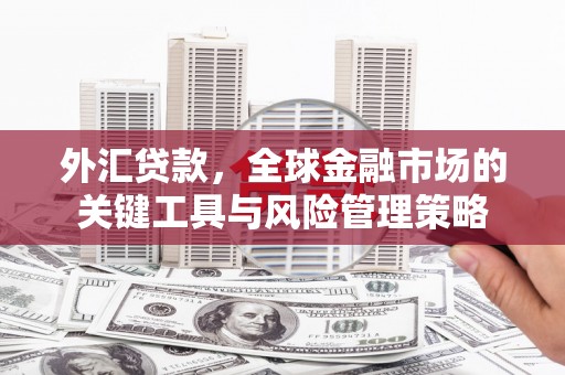 港口外汇贷款，全球金融市场的关键工具与风险管理策略