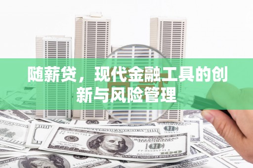 港口随薪贷，现代金融工具的创新与风险管理