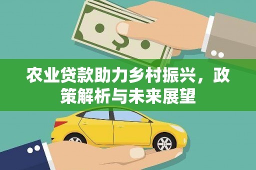 港口农业贷款助力乡村振兴，政策解析与未来展望