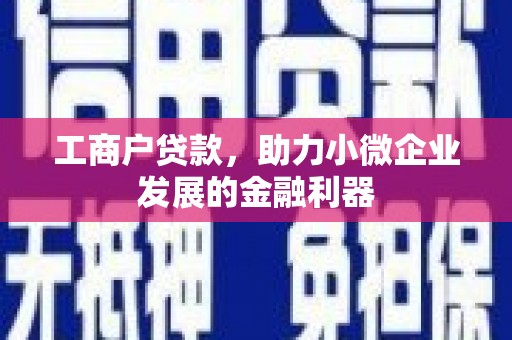 港口工商户贷款，助力小微企业发展的金融利器
