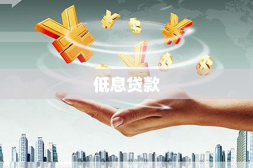 港口低息贷款