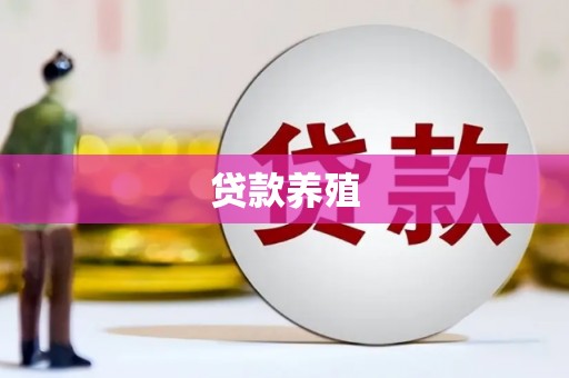 港口贷款养殖