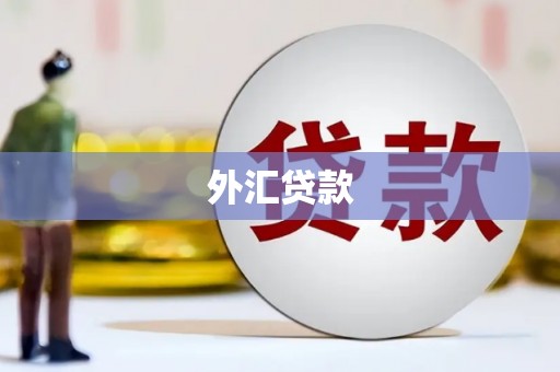 港口外汇贷款
