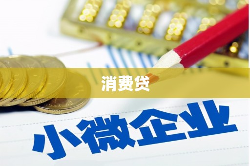 港口消费贷
