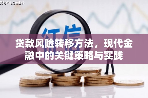 港口贷款风险转移方法，现代金融中的关键策略与实践