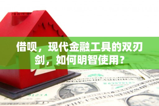 港口借呗，现代金融工具的双刃剑，如何明智使用？