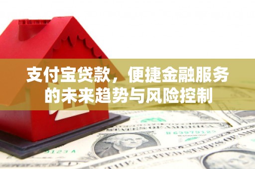 港口支付宝贷款，便捷金融服务的未来趋势与风险控制