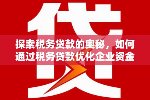 港口探索税务贷款的奥秘，如何通过税务贷款优化企业资金流