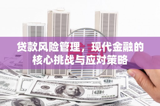 港口贷款风险管理，现代金融的核心挑战与应对策略