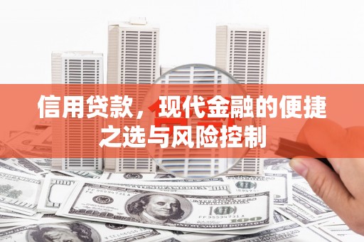 港口信用贷款，现代金融的便捷之选与风险控制