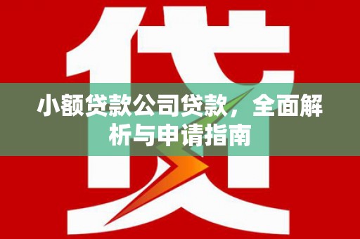 港口小额贷款公司贷款，全面解析与申请指南