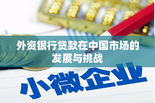 港口外资银行贷款在中国市场的发展与挑战