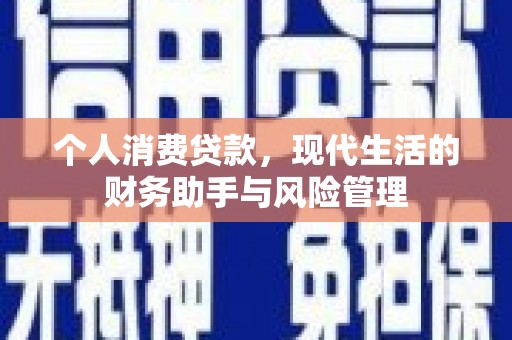 港口个人消费贷款，现代生活的财务助手与风险管理