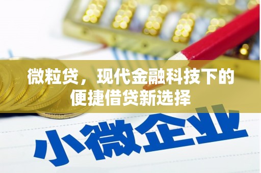 港口微粒贷，现代金融科技下的便捷借贷新选择