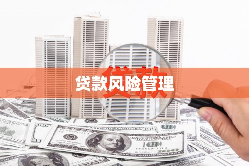 港口贷款风险管理