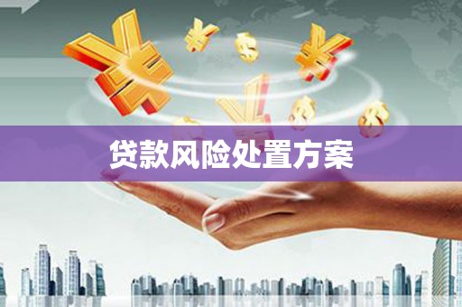 港口贷款风险处置方案