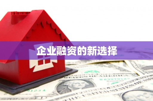 港口企业融资的新选择