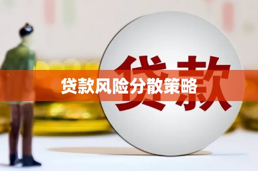港口贷款风险分散策略