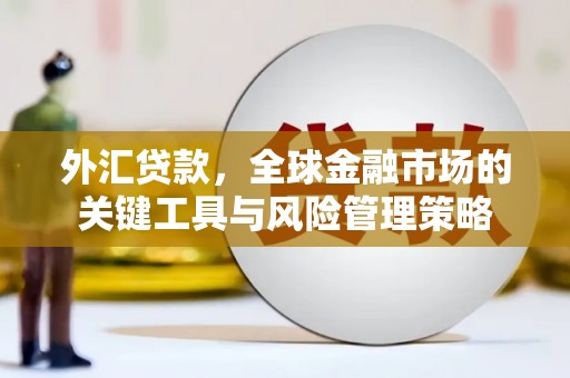 港口外汇贷款，全球金融市场的关键工具与风险管理策略