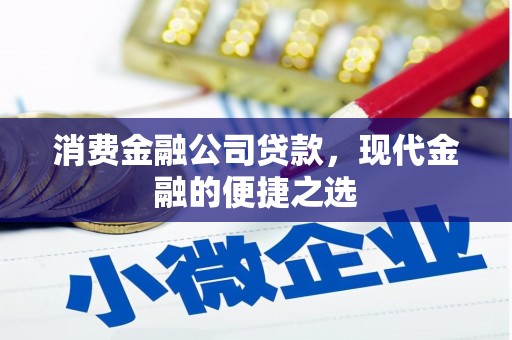 港口消费金融公司贷款，现代金融的便捷之选