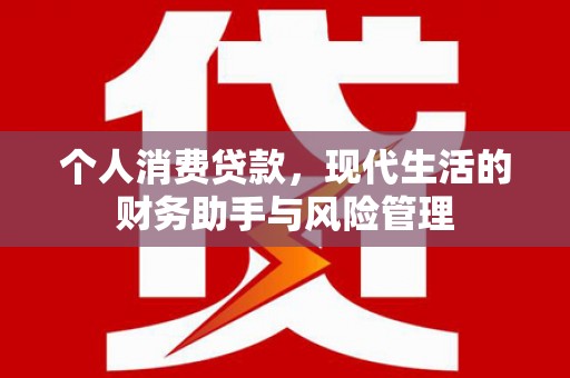 港口个人消费贷款，现代生活的财务助手与风险管理