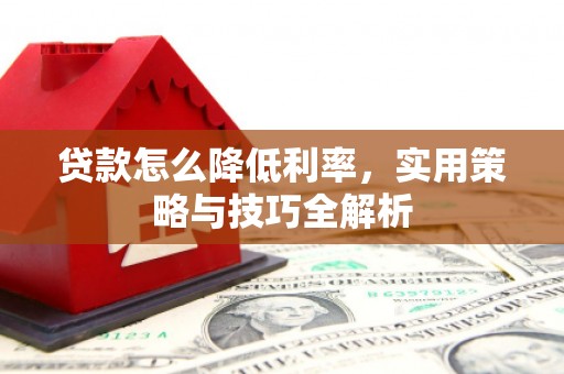 港口贷款怎么降低利率，实用策略与技巧全解析