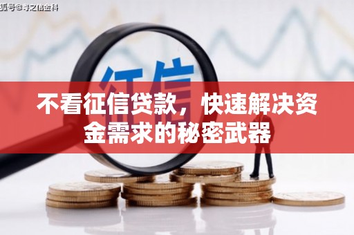 港口不看征信贷款，快速解决资金需求的秘密武器