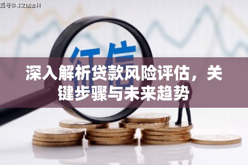 港口深入解析贷款风险评估，关键步骤与未来趋势