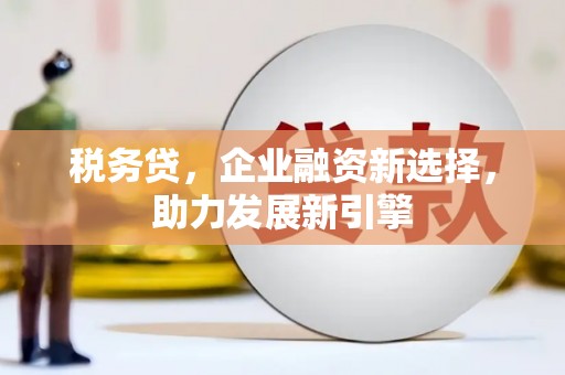 港口税务贷，企业融资新选择，助力发展新引擎
