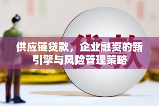 港口供应链贷款，企业融资的新引擎与风险管理策略