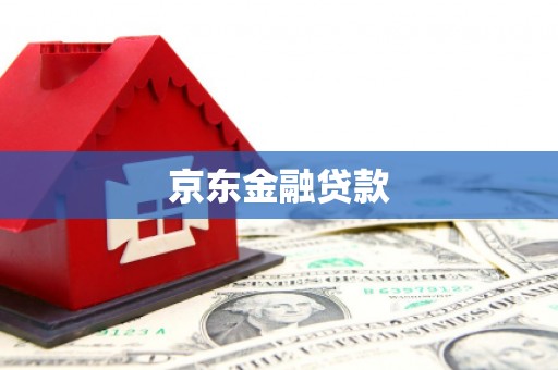 港口京东金融贷款