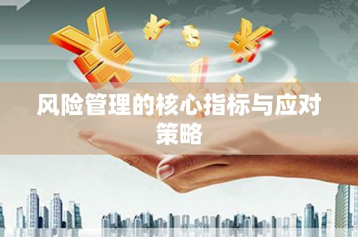 港口风险管理的核心指标与应对策略