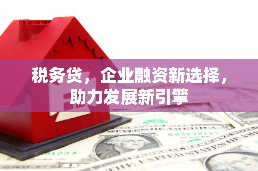 港口税务贷，企业融资新选择，助力发展新引擎