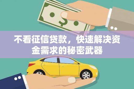 港口不看征信贷款，快速解决资金需求的秘密武器