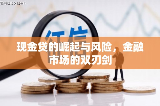 港口现金贷的崛起与风险，金融市场的双刃剑