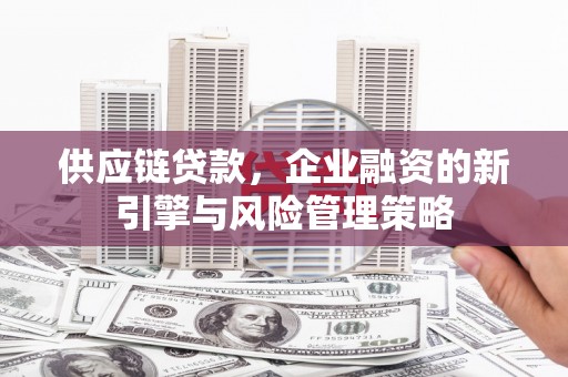 港口供应链贷款，企业融资的新引擎与风险管理策略