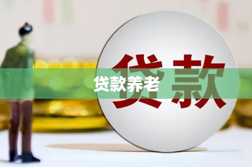 港口贷款养老