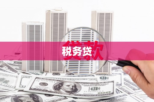 港口税务贷