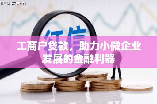 港口工商户贷款，助力小微企业发展的金融利器