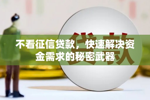 港口不看征信贷款，快速解决资金需求的秘密武器