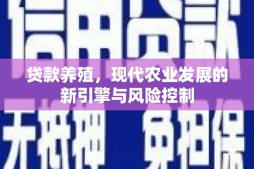 港口贷款养殖，现代农业发展的新引擎与风险控制