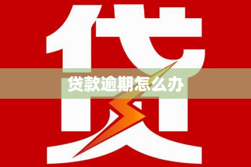 港口贷款逾期怎么办