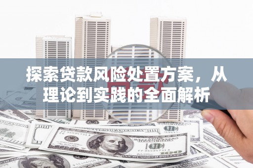 港口探索贷款风险处置方案，从理论到实践的全面解析