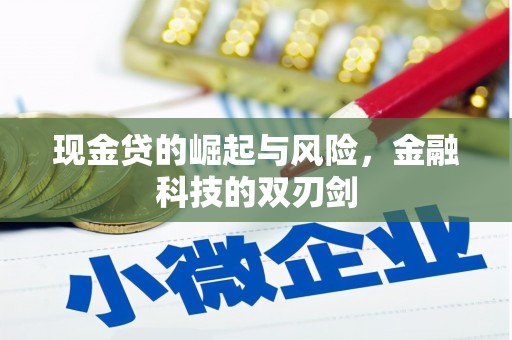 港口现金贷的崛起与风险，金融科技的双刃剑