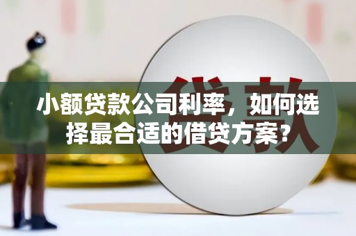 港口小额贷款公司利率，如何选择最合适的借贷方案？