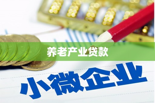 港口养老产业贷款