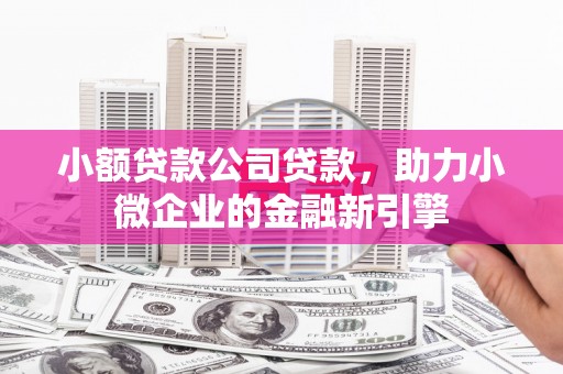 港口小额贷款公司贷款，助力小微企业的金融新引擎